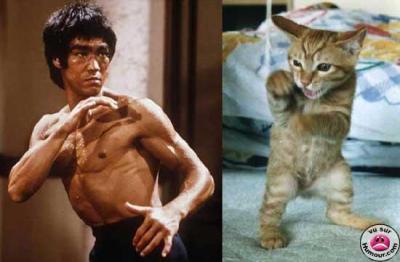 bruce lee......Ha !!